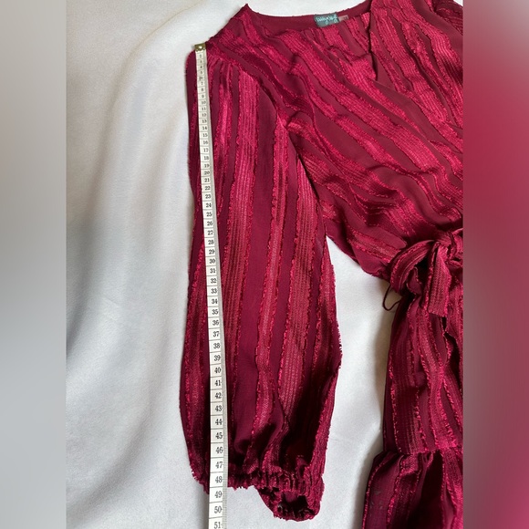 GABBY SKYE Wine Red Half Sleeve Striped Dress - Picture 5 of 6